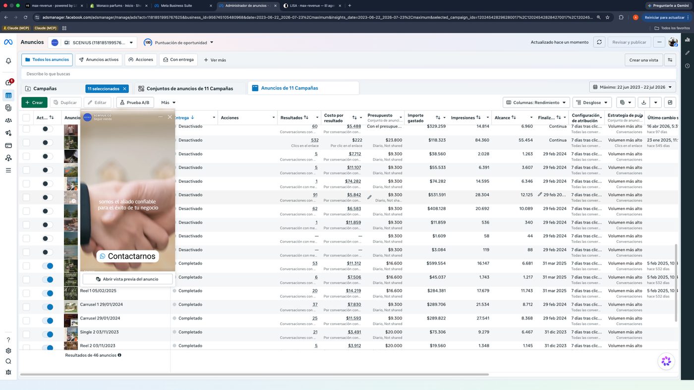 Vista de los 46 anuncios individuales con preview del creative